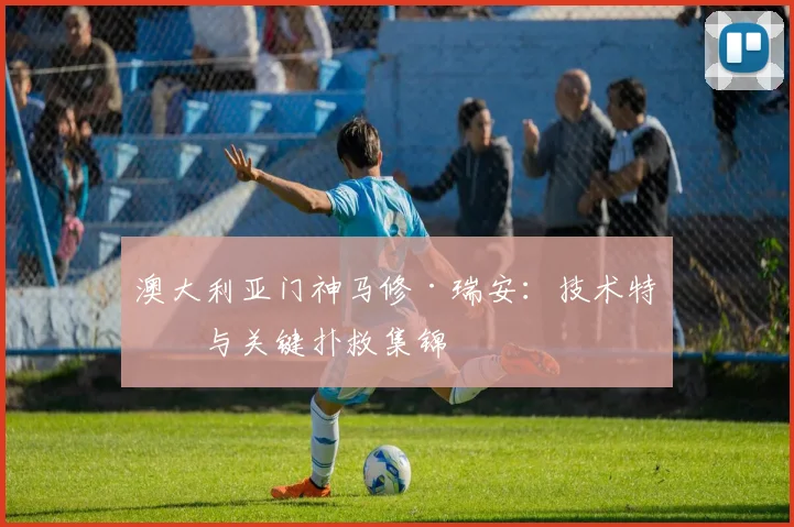 澳大利亚门神马修·瑞安：技术特点与关键扑救集锦